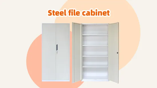 China Factory Supplier Steel Office Cupboard Metal 2 Swing Door Steel File Storage Cabinet 